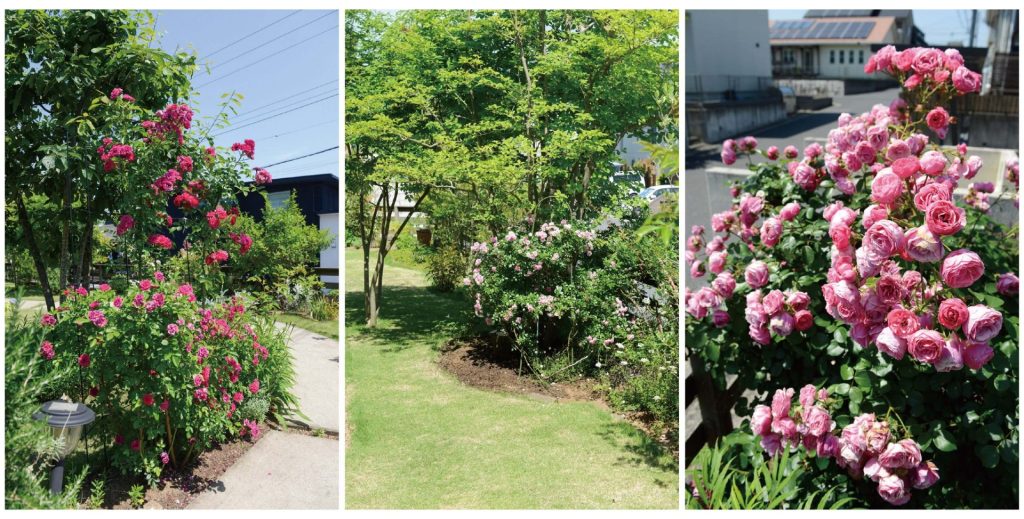 季節と共にある自然と調和した暮らしの写真